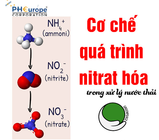 Cơ chế quá trình nitrat hóa trong xử lý nước thải