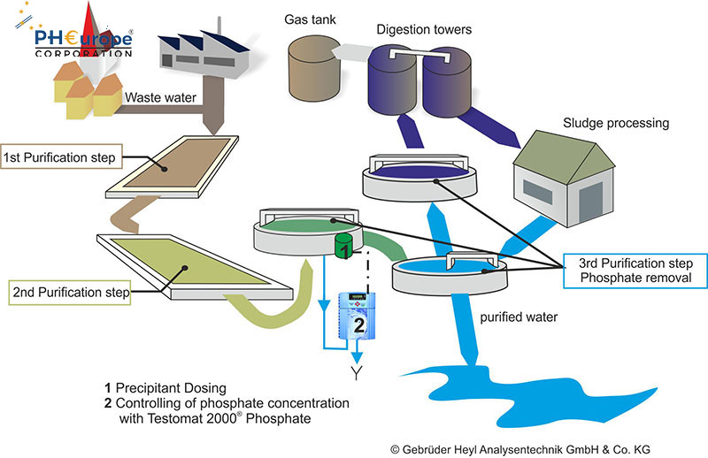Xử lý phospho trong nước thải bằng phương pháp sinh học